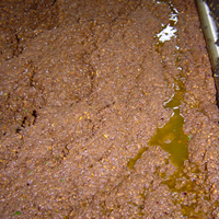 Olive pressing 6