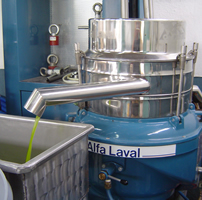 Olive pressing 8