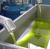 Olive pressing 9