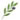 Leaf icon
